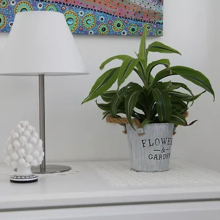 Terramare, 550 Mt From The Beach, Close To Ortigia Historic Center シラクーサ